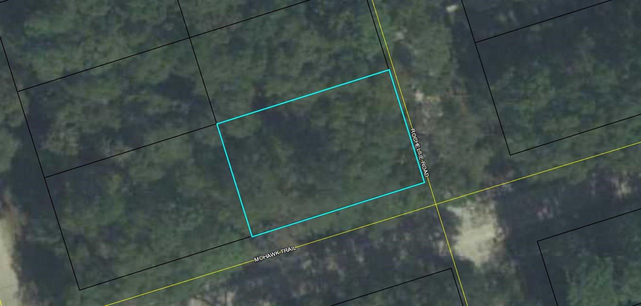 Lot 76 Rochelsie Road, Unit 1 Crawfordville, FL 32327 - Photo 1 of 1 Gallery Image 1
