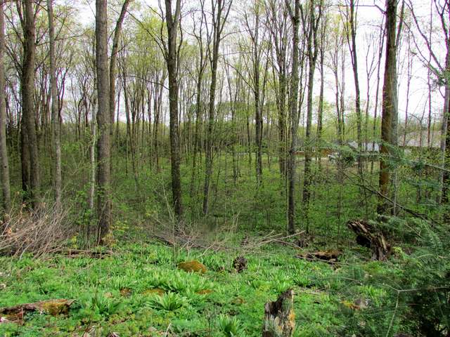 N6323 Neva Lake Road Deerbrook, WI 54424 - Photo 18 of 19 Gallery Image 18