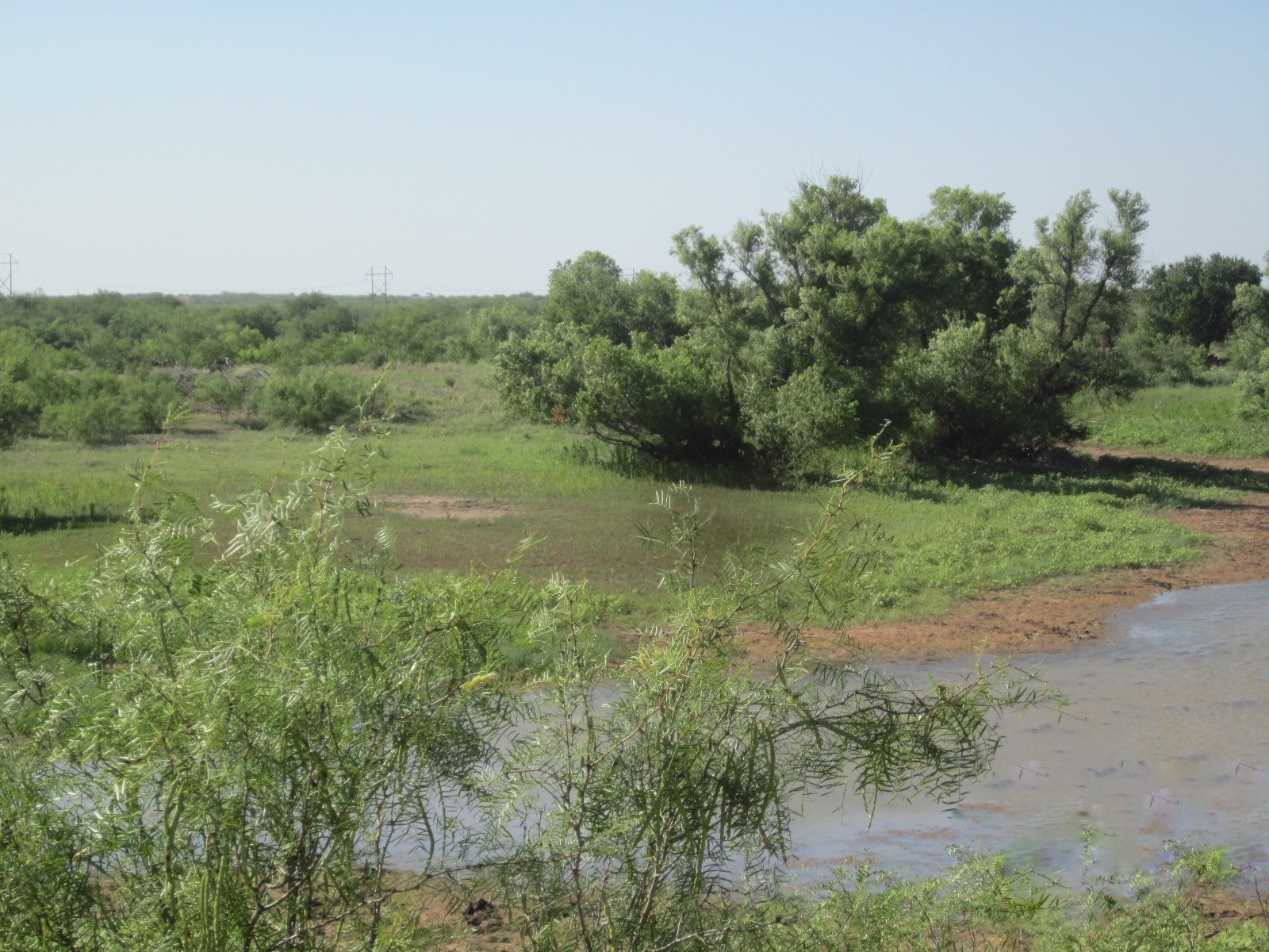 Nka Buckle L Road Childress, TX 79201 - Photo 1 of 18