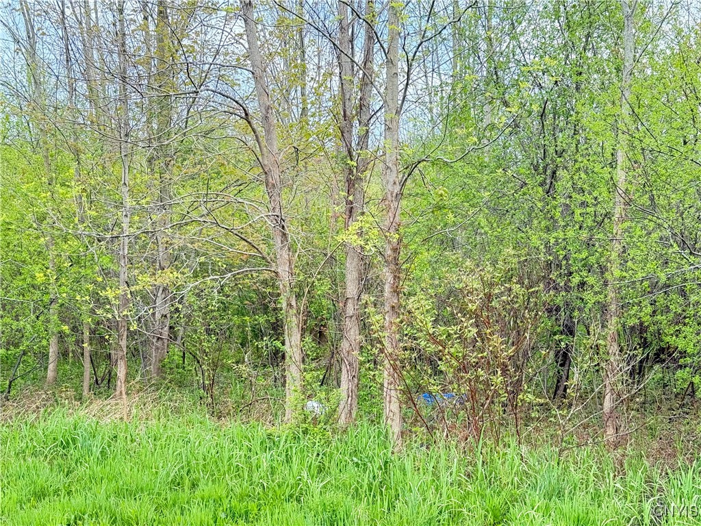 0 Klocks Corners Road Oswego, NY 13126 - Photo 2 of 20