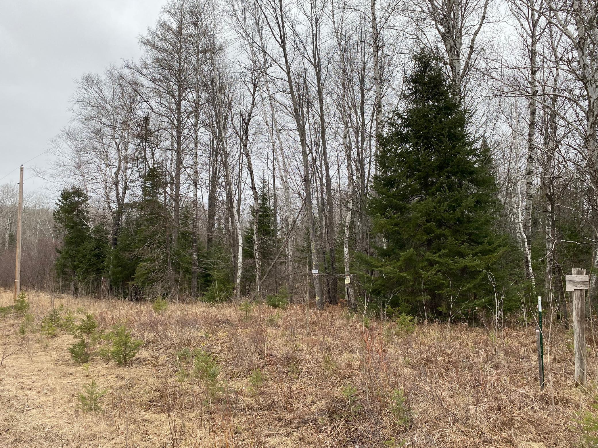 Xxx Shady Pine Road Bruno, MN 55712 - Photo 1 of 1 Gallery Image 1