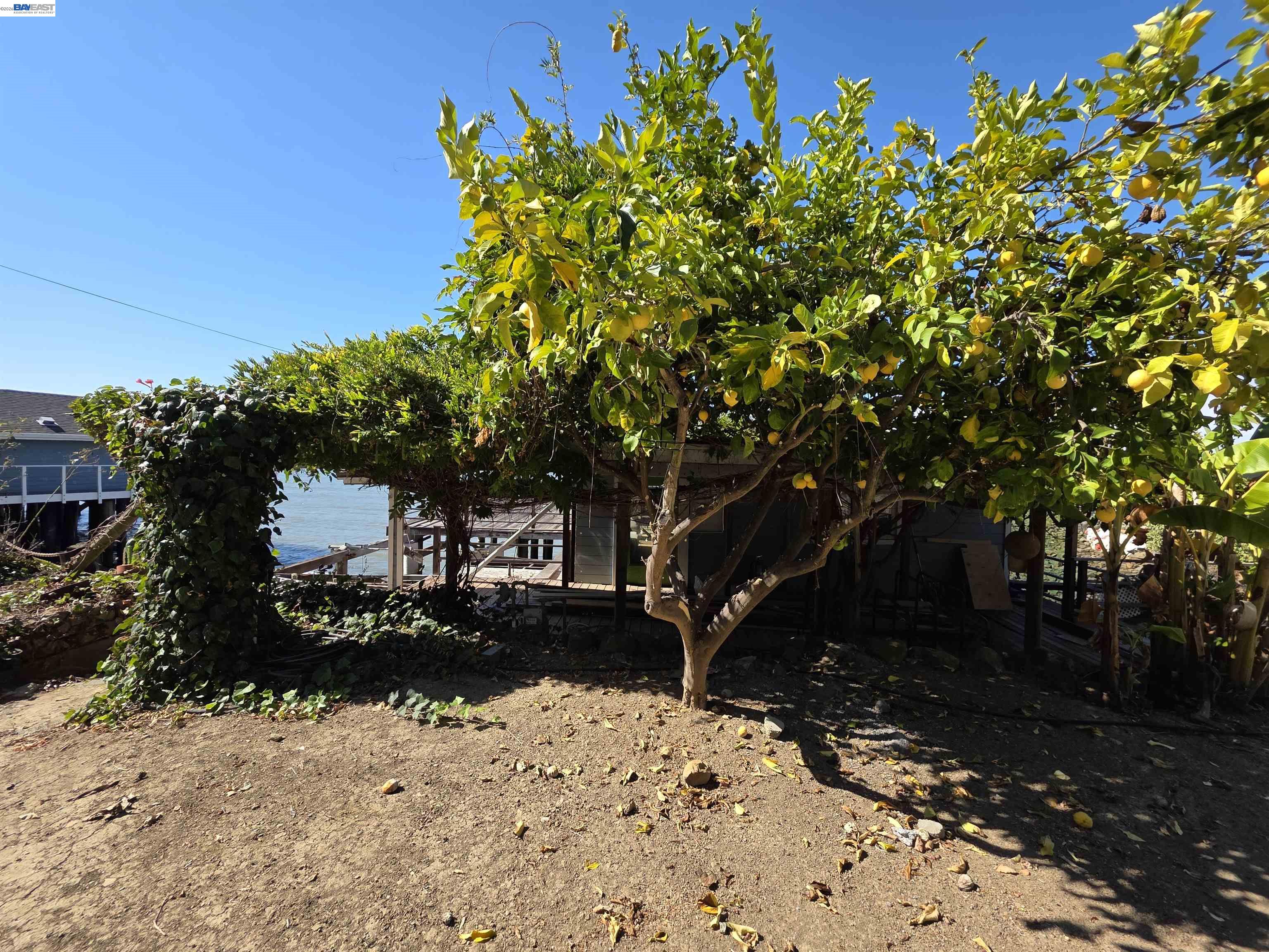 40 Sandy Beach Road Vallejo, CA 94590 - Photo 10 of 10 a view of a backyard of the house