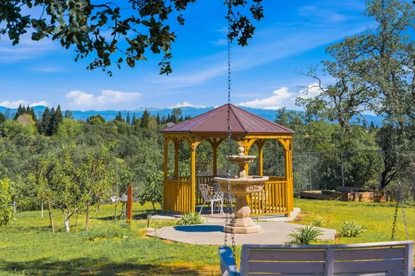 a view of a yard with a tree