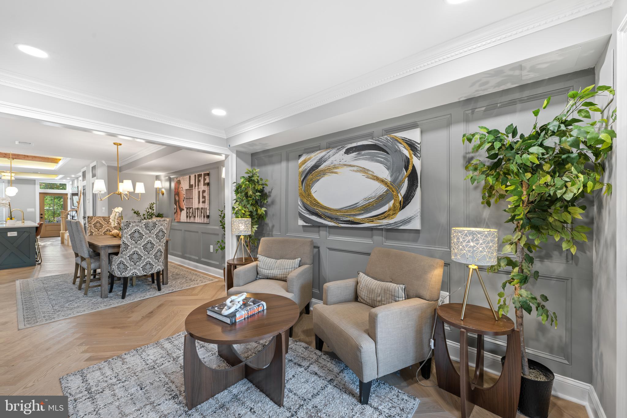 422 11th Street Southeast Washington, DC 20003 - Photo 16 of 51 a living room with furniture a rug and a potted plant