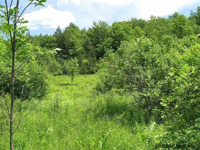0 Guinea Road Middleburgh, NY 12122 - Photo 2 of 13 Photo 2