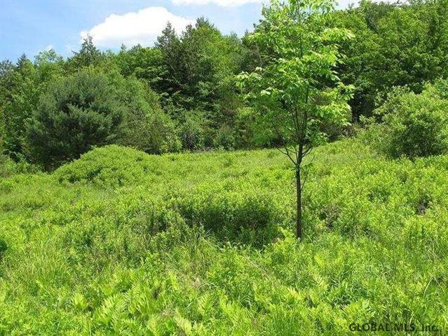0 Guinea Road Middleburgh, NY 12122 - Photo 5 of 13 Photo 5