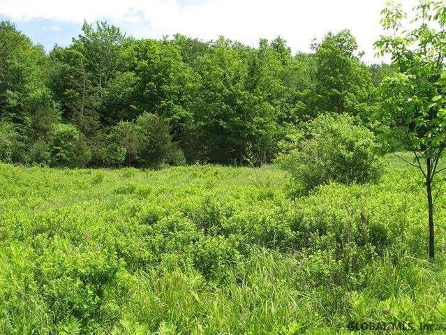 0 Guinea Road Middleburgh, NY 12122 - Photo 6 of 13 Photo 6