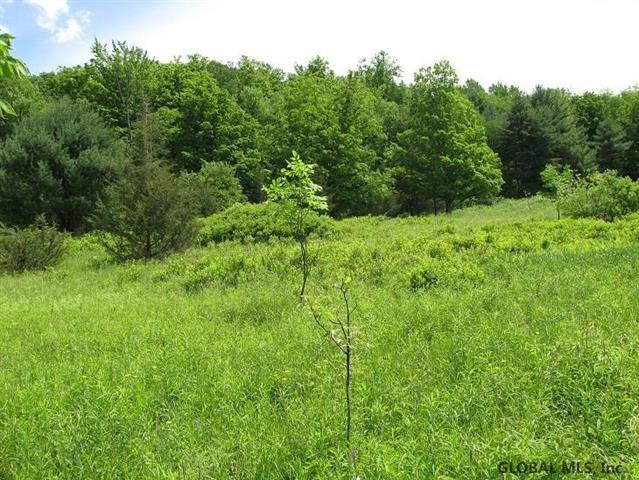 0 Guinea Road Middleburgh, NY 12122 - Photo 8 of 13 Photo 8