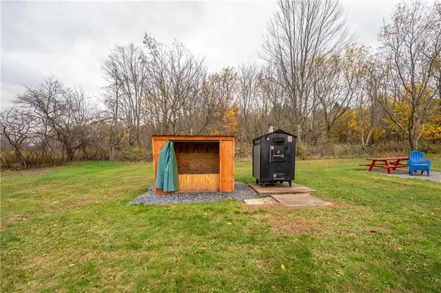 a view of a park with large trees
