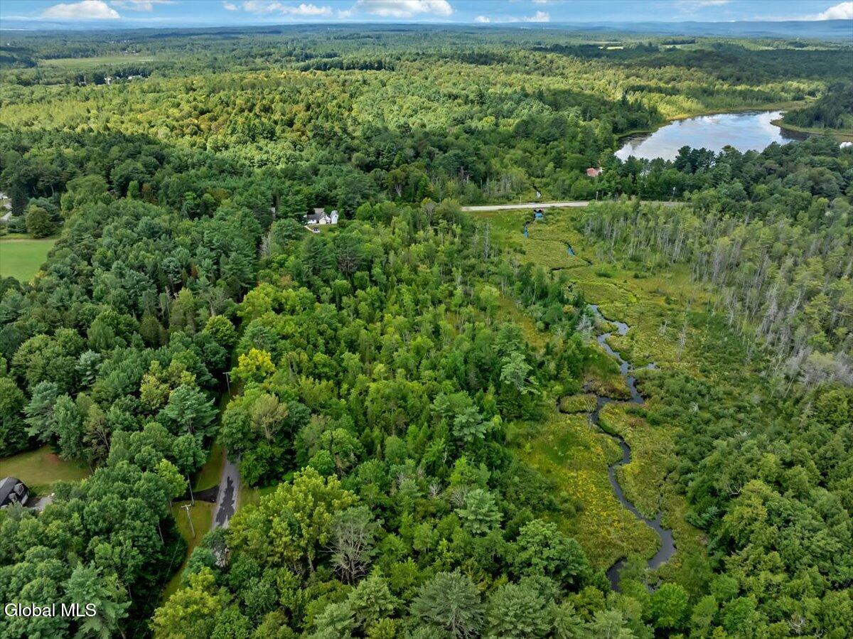L11 Faber Road Broadalbin, NY 12025 - Photo 11 of 21 11-DJI_0850