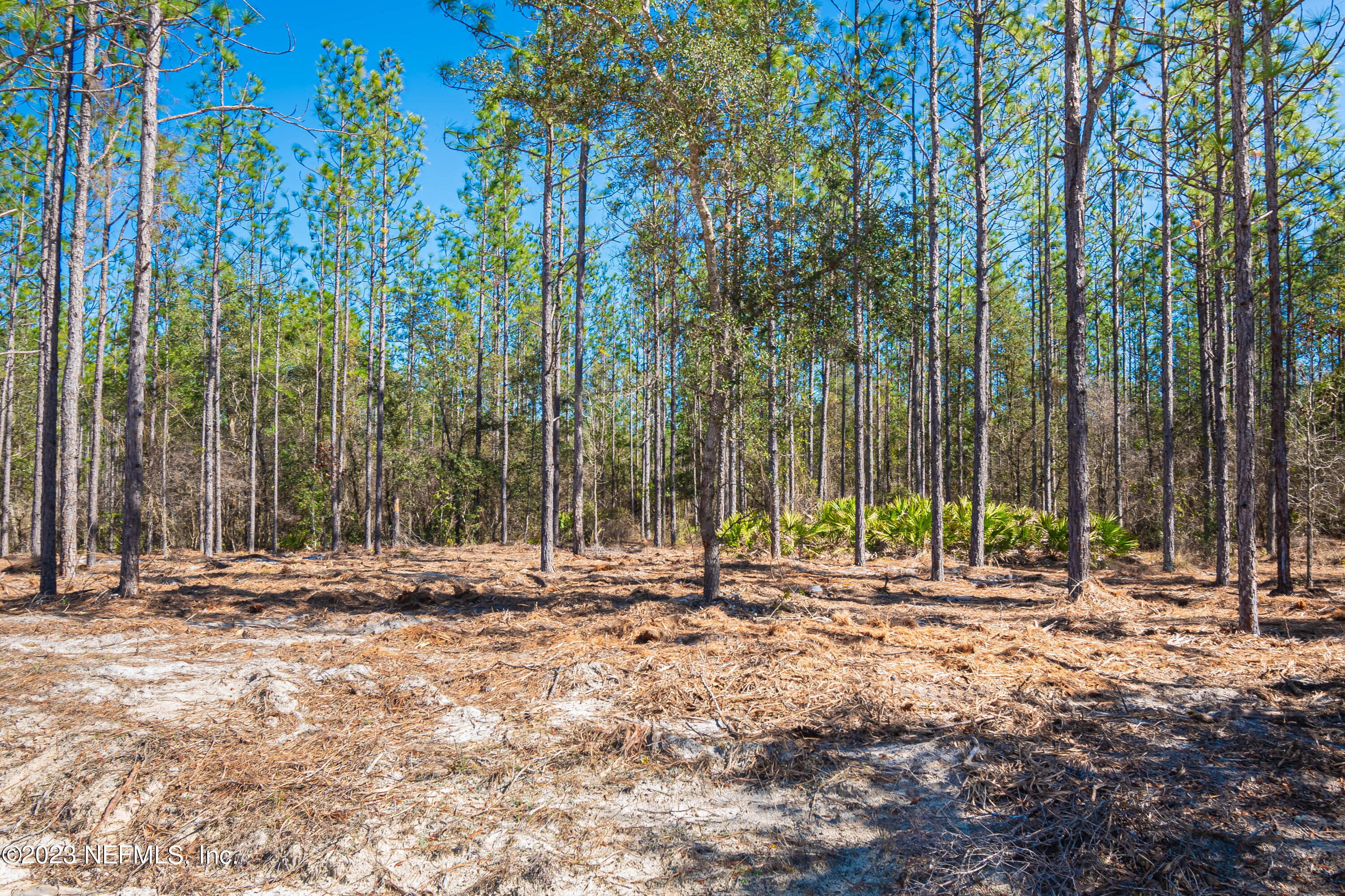 Lot 5 Stokes Road Macclenny, FL 32063 - Photo 11 of 12 untitled-3498