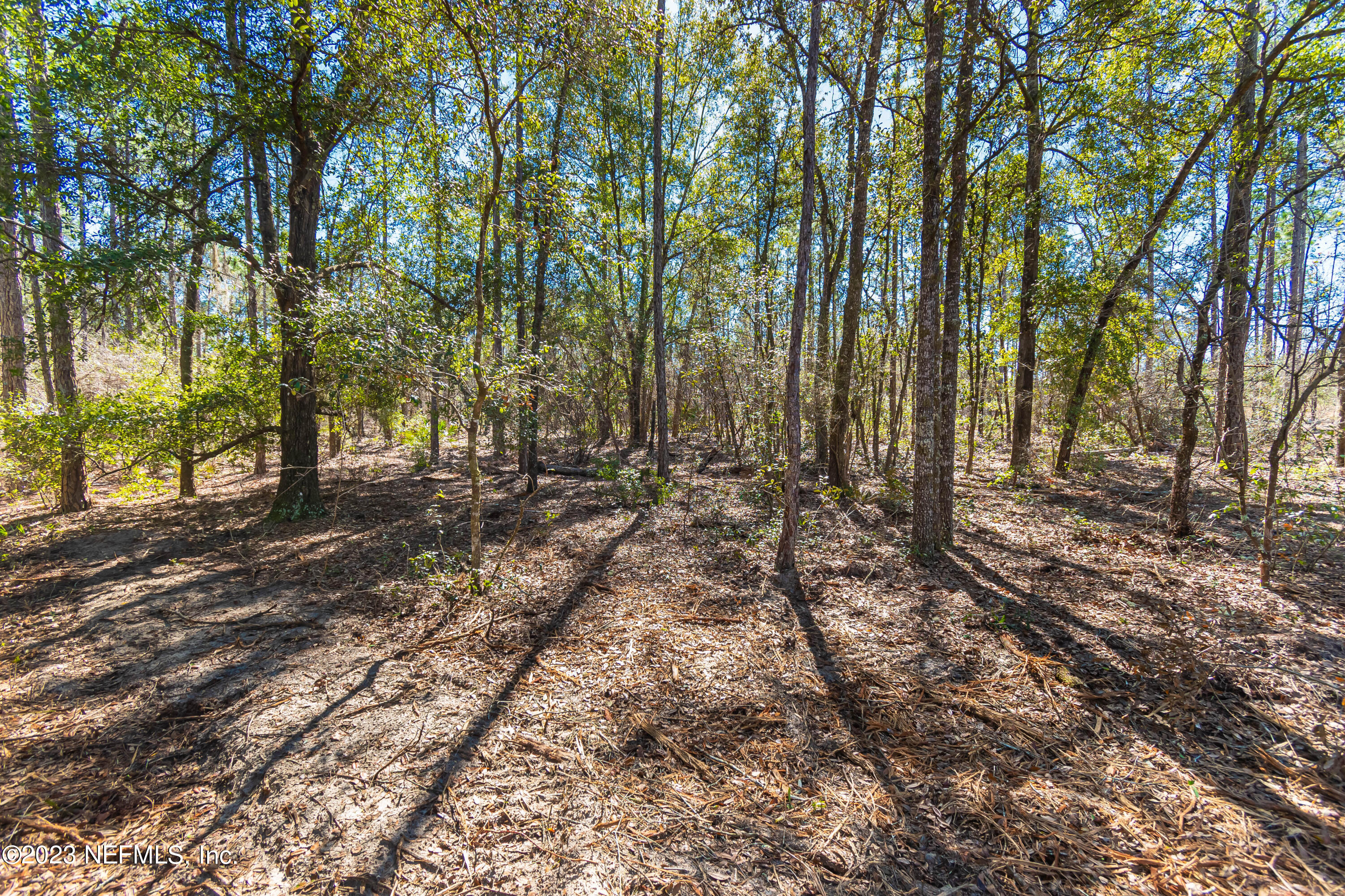 Lot 5 Stokes Road Macclenny, FL 32063 - Photo 5 of 12 untitled-3475