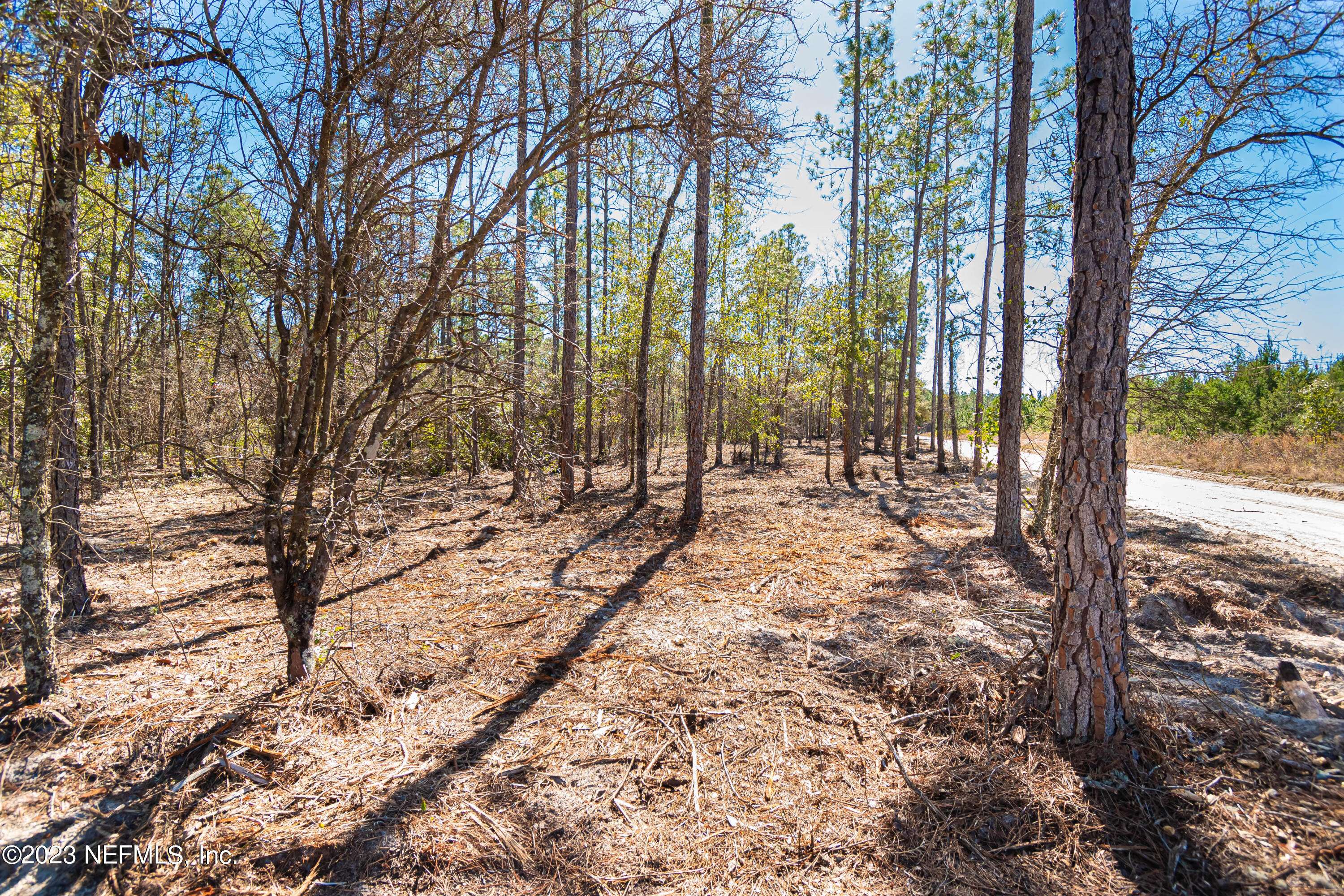 Lot 5 Stokes Road Macclenny, FL 32063 - Photo 6 of 12 untitled-3485