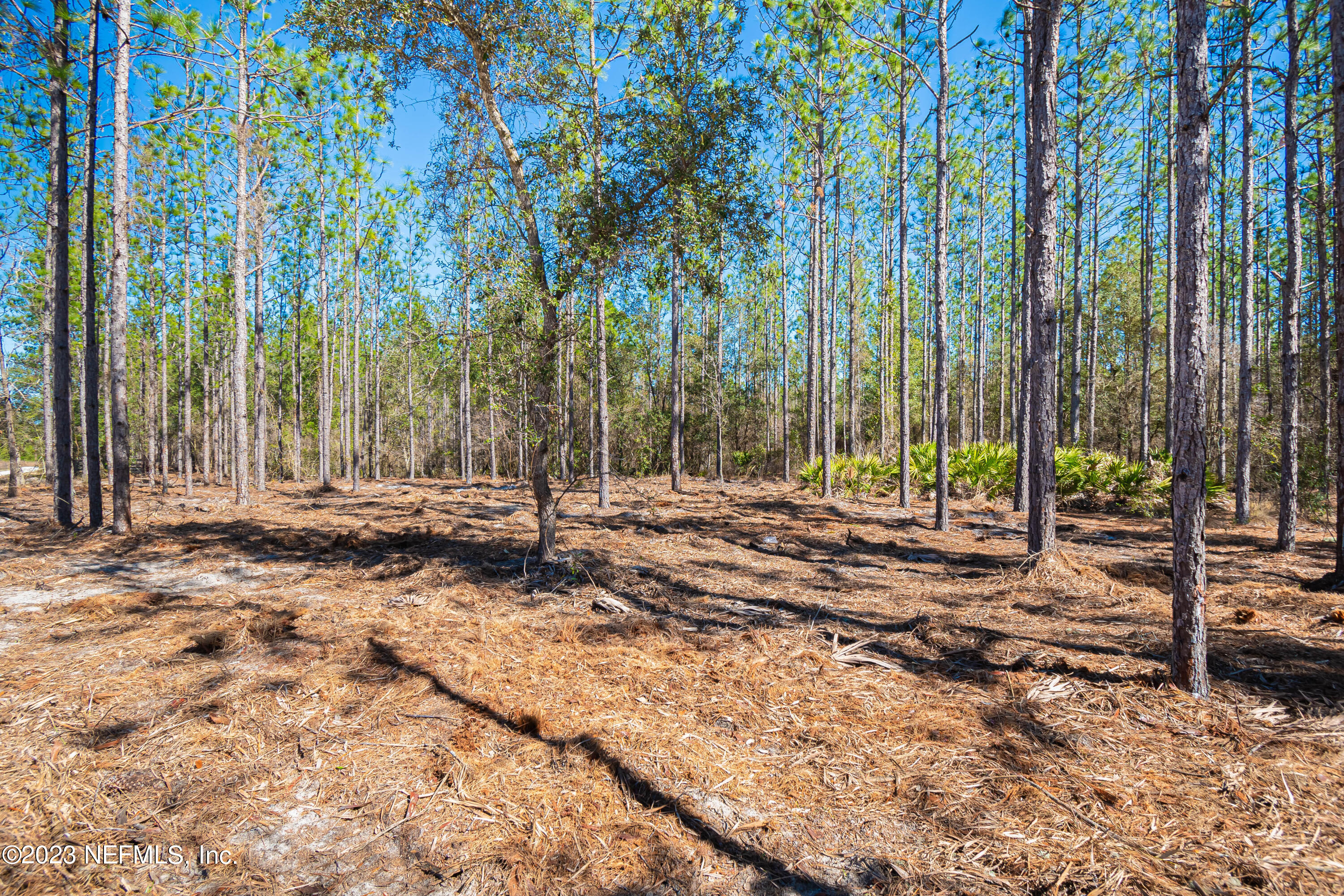 Lot 5 Stokes Road Macclenny, FL 32063 - Photo 7 of 12 untitled-3501