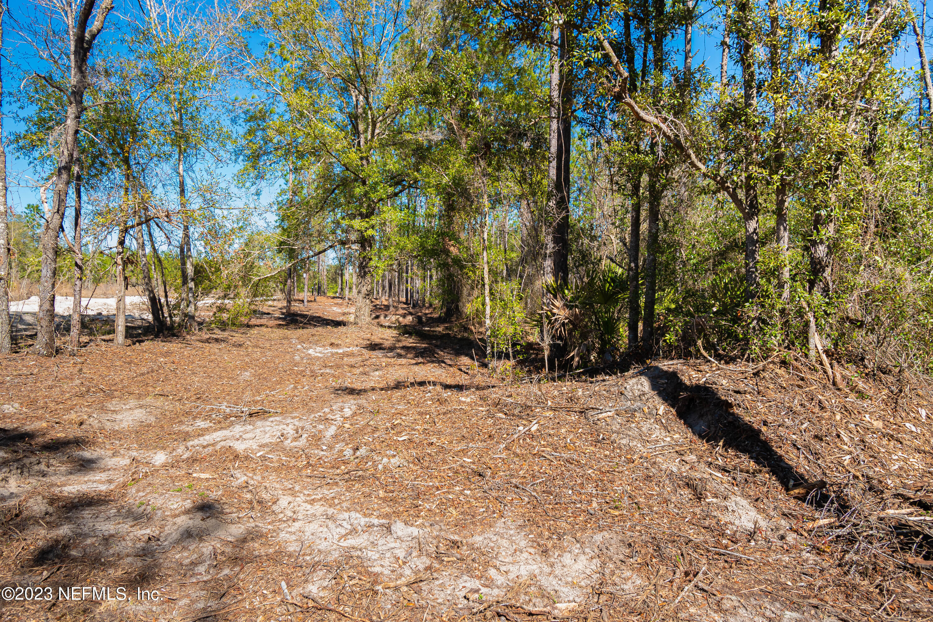 Lot 5 Stokes Road Macclenny, FL 32063 - Photo 8 of 12 untitled-3490
