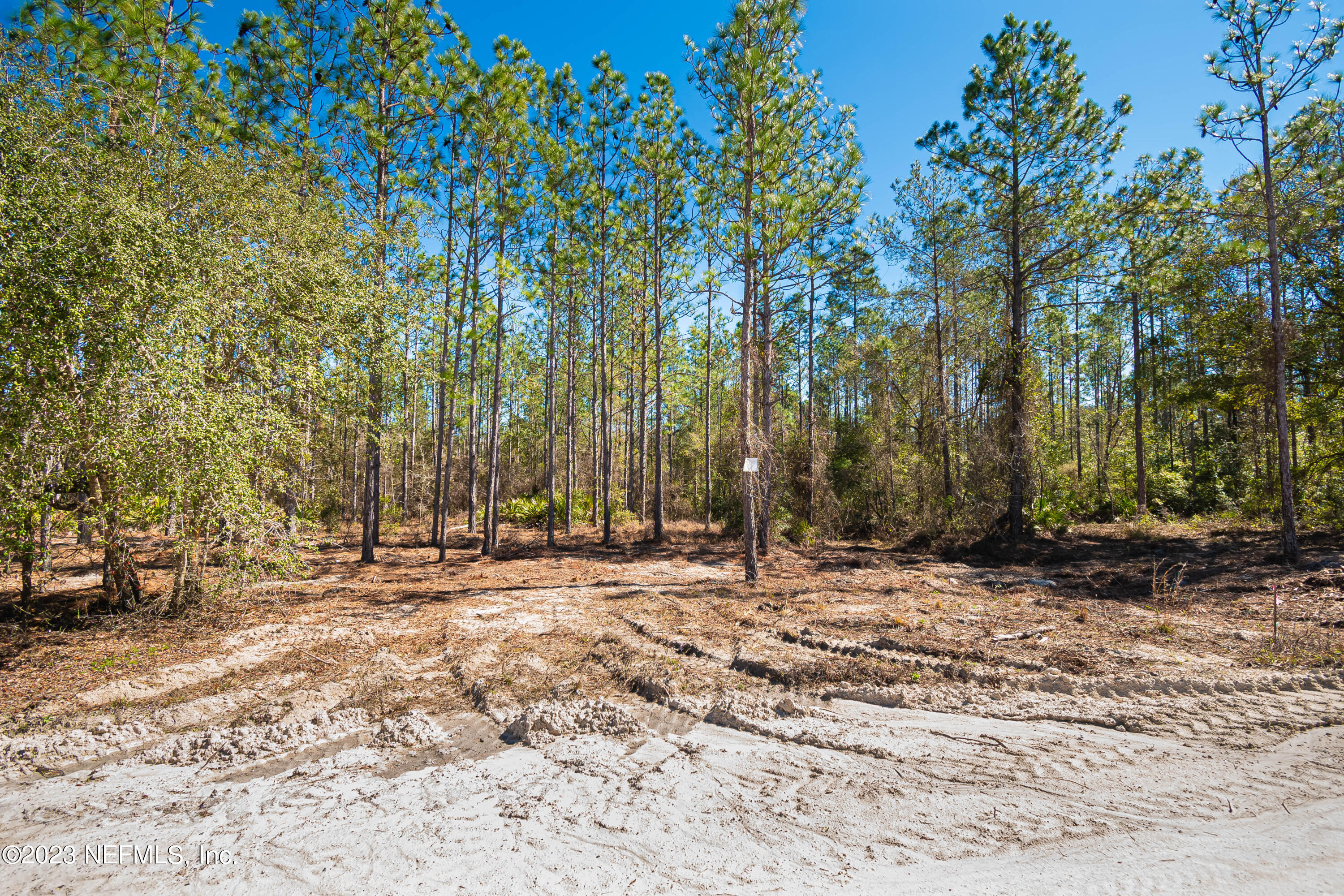 Lot 5 Stokes Road Macclenny, FL 32063 - Photo 10 of 12 untitled-3496