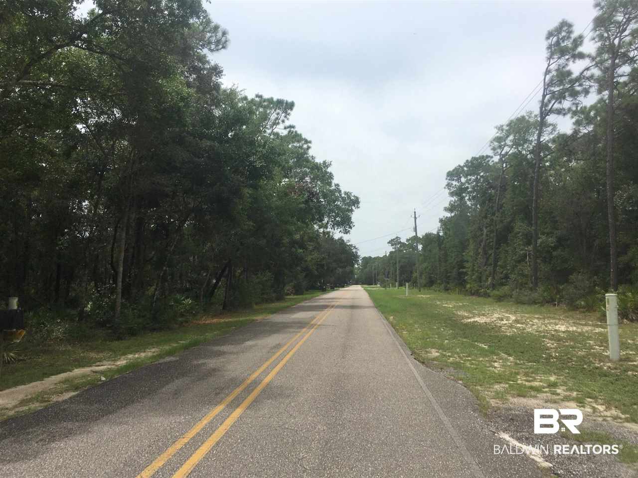 Magnolia Street Elberta, AL 36530 - Photo 7 of 8 quiet road to the west