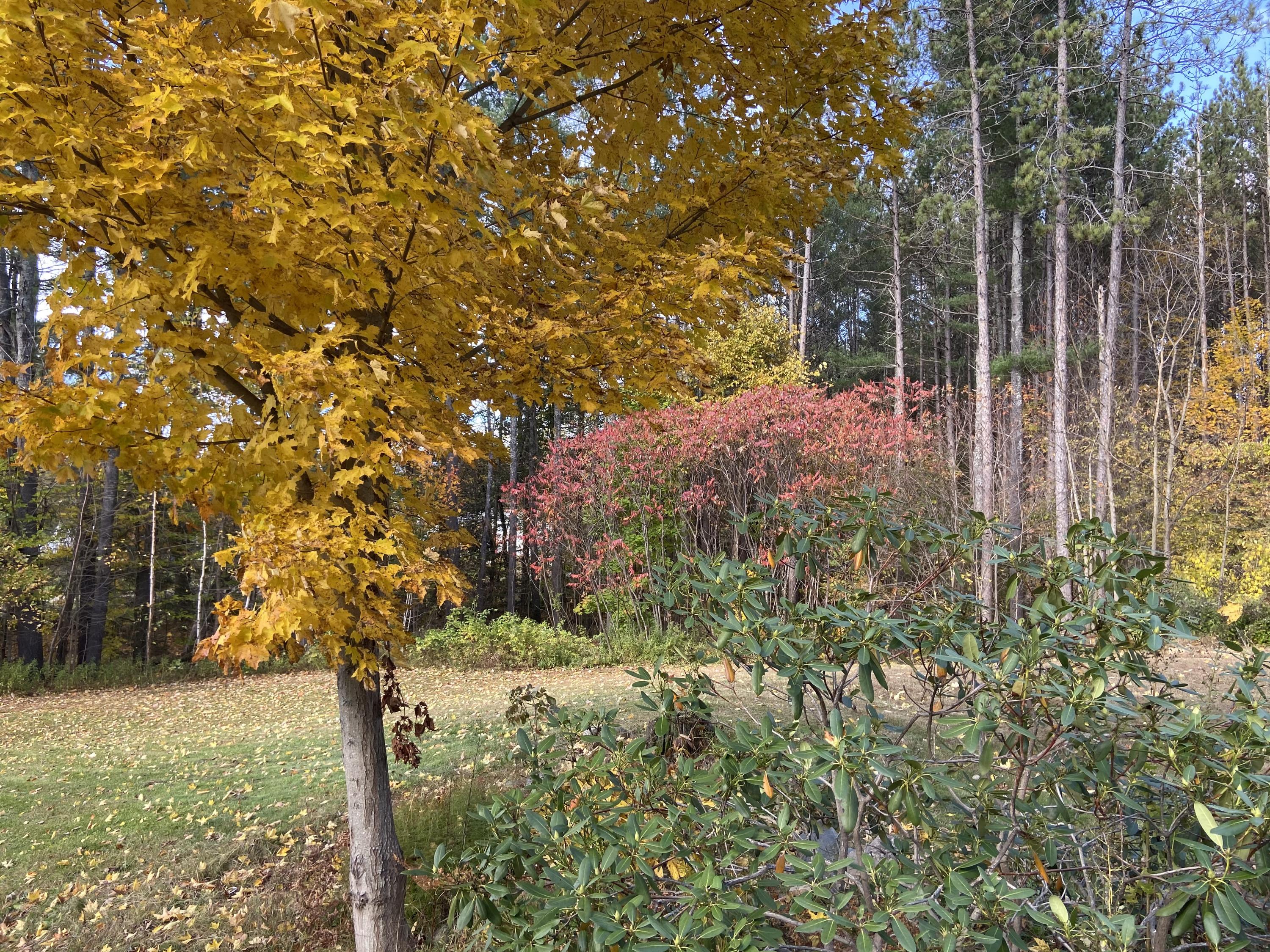 202 Holley Road Farmington, ME 04938 - Photo 4 of 17 IMG_0188