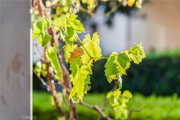 $3,300 | 8779 Celebration Street, Chino, CA 91708