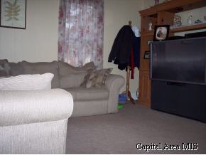 105 Pearl Street Modesto, IL 62667 - Photo 5 of 6