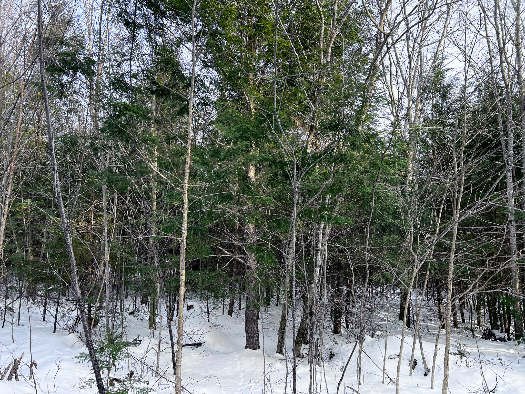 2 Spruce Point Road Lowell, ME 04493 - Photo 13 of 17 IMG_2711