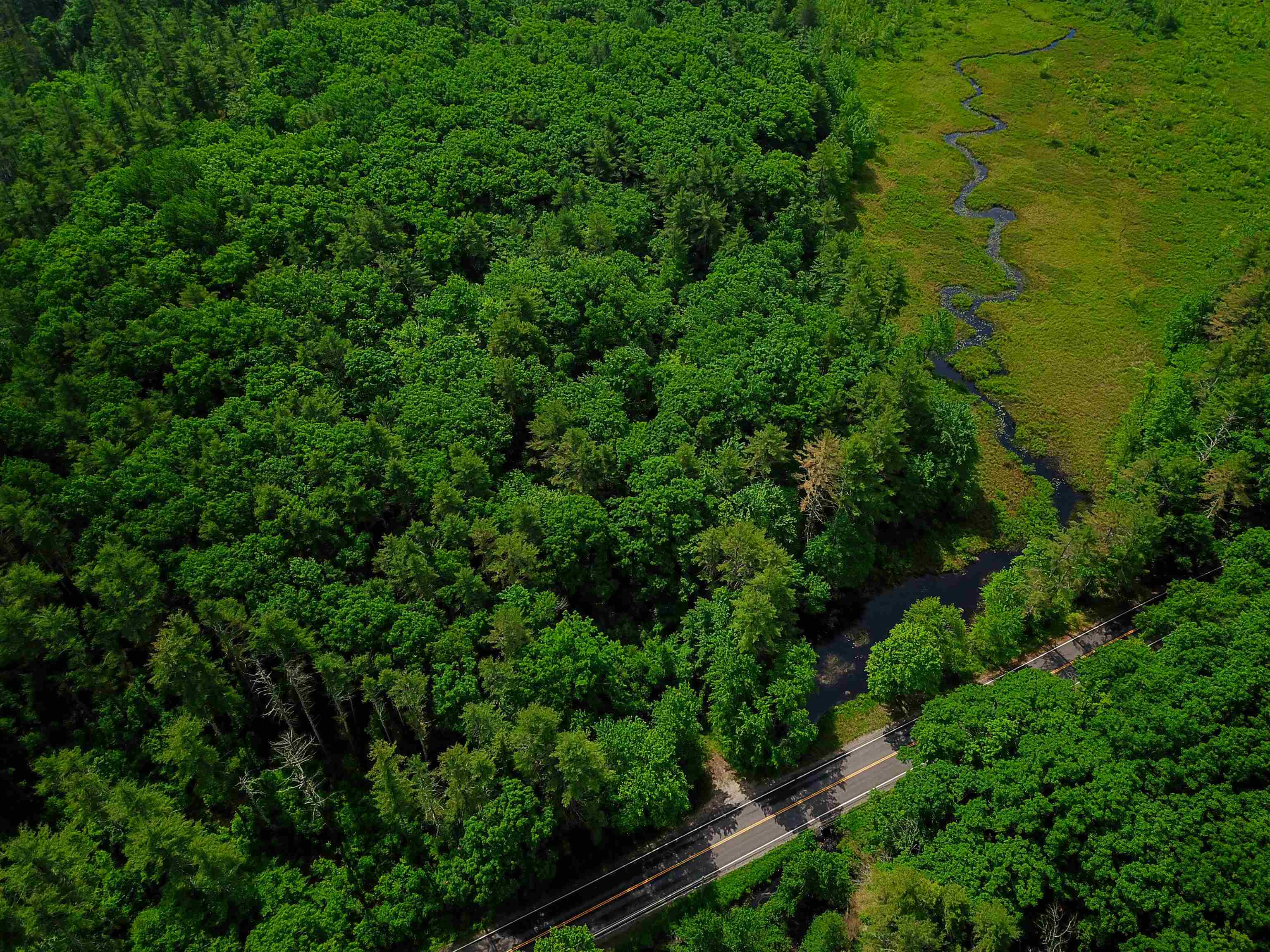 1000 New Boston Road Francestown, NH 03043 - Photo 9 of 40