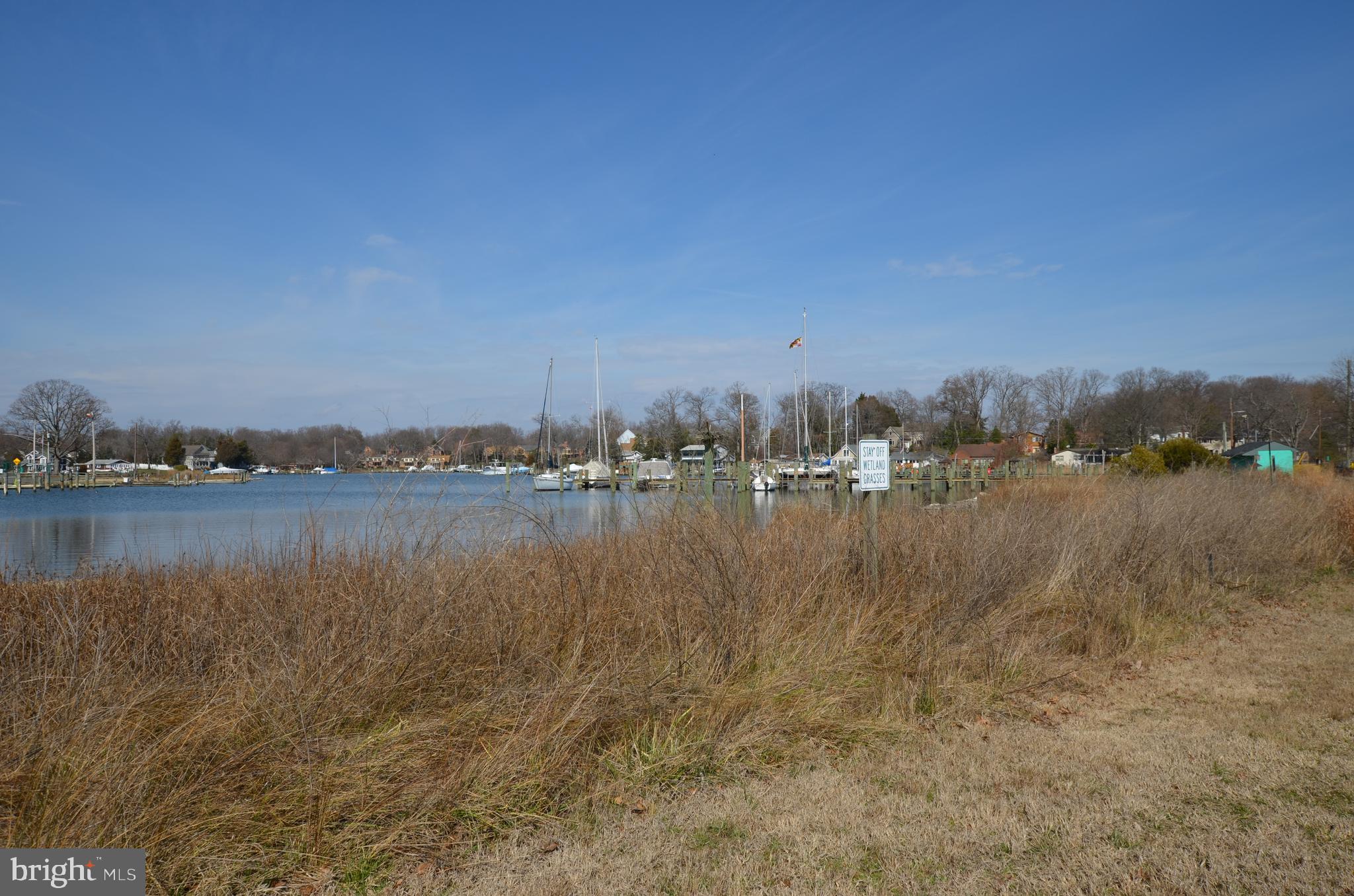 638 Londontown Road Edgewater, MD 21037 - Photo 44 of 51 Osprey nesting area