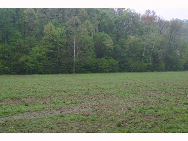 583 Letterman Hill Road Paragon, IN 46166 - Photo 4 of 9