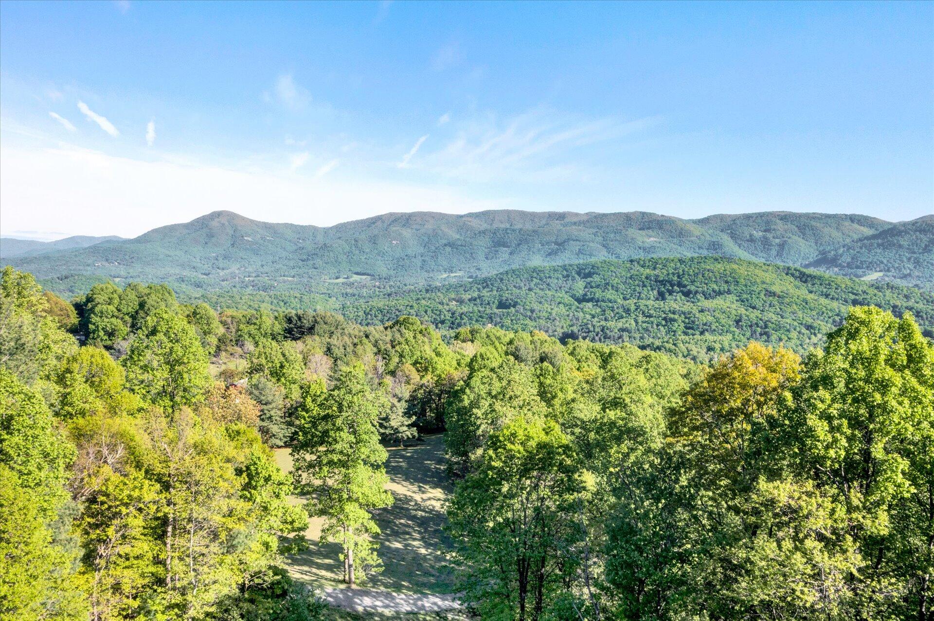 4939 Wade Road Roanoke, VA 24018 - Photo 5 of 57 a view of a forest with a mountain in the background