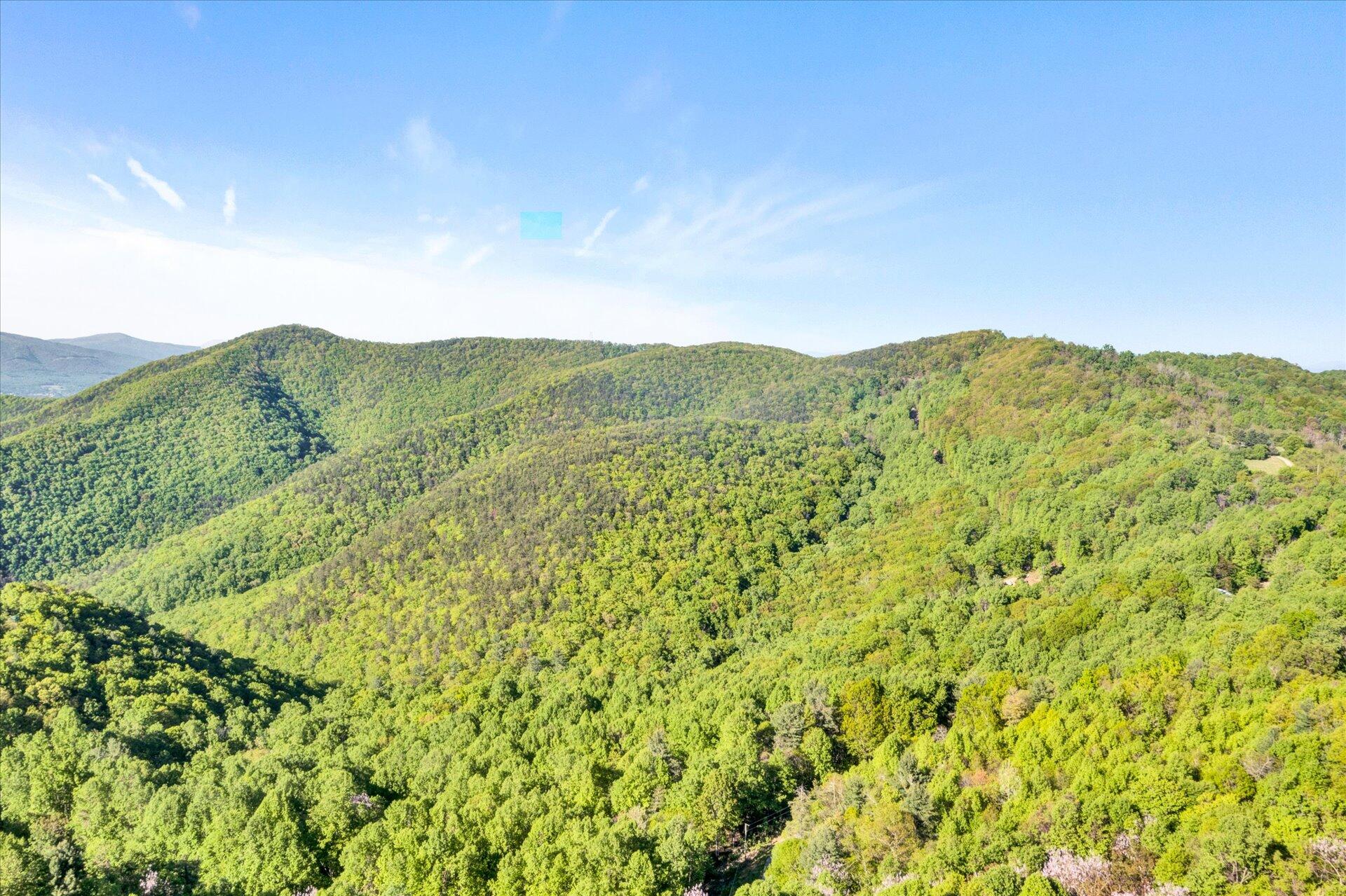 4939 Wade Road Roanoke, VA 24018 - Photo 52 of 57 a view of a mountain range with lush green forest