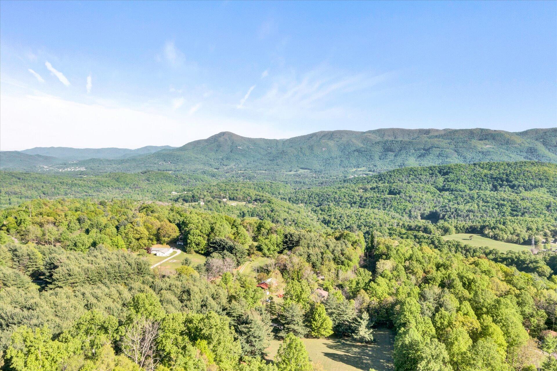 4939 Wade Road Roanoke, VA 24018 - Photo 53 of 57 a view of a lush green forest with mountains in the background