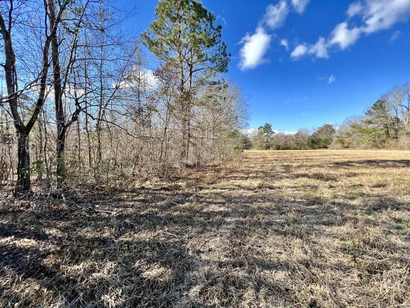 0 Dennis Ridge Road Bonneau, SC 29431 - Photo 4 of 7 e