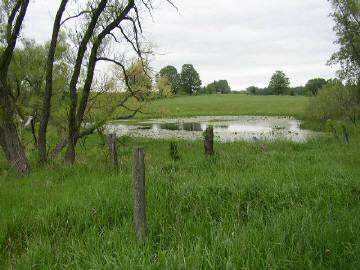 18638 7 Mile Road Reed City, MI 49677 - Photo 6 of 7 Additional Photo