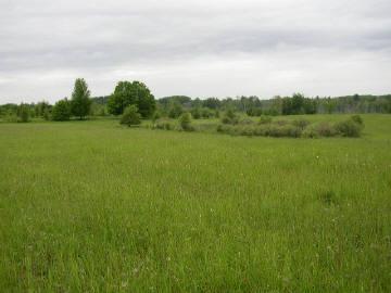 18638 7 Mile Road Reed City, MI 49677 - Photo 7 of 7 Additional Photo