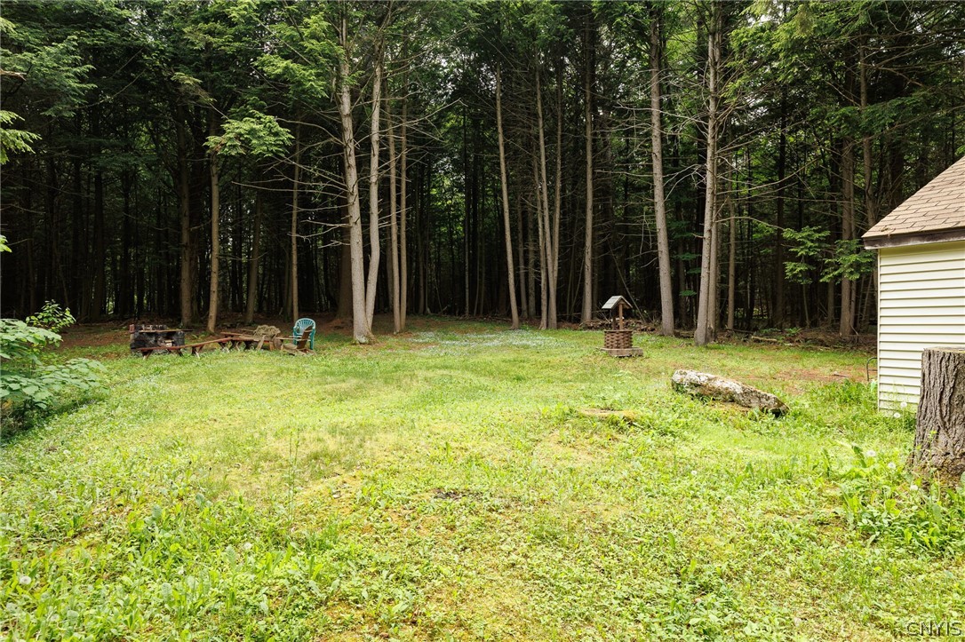 647 Heath Road Stockholm, NY 13676 - Photo 5 of 50