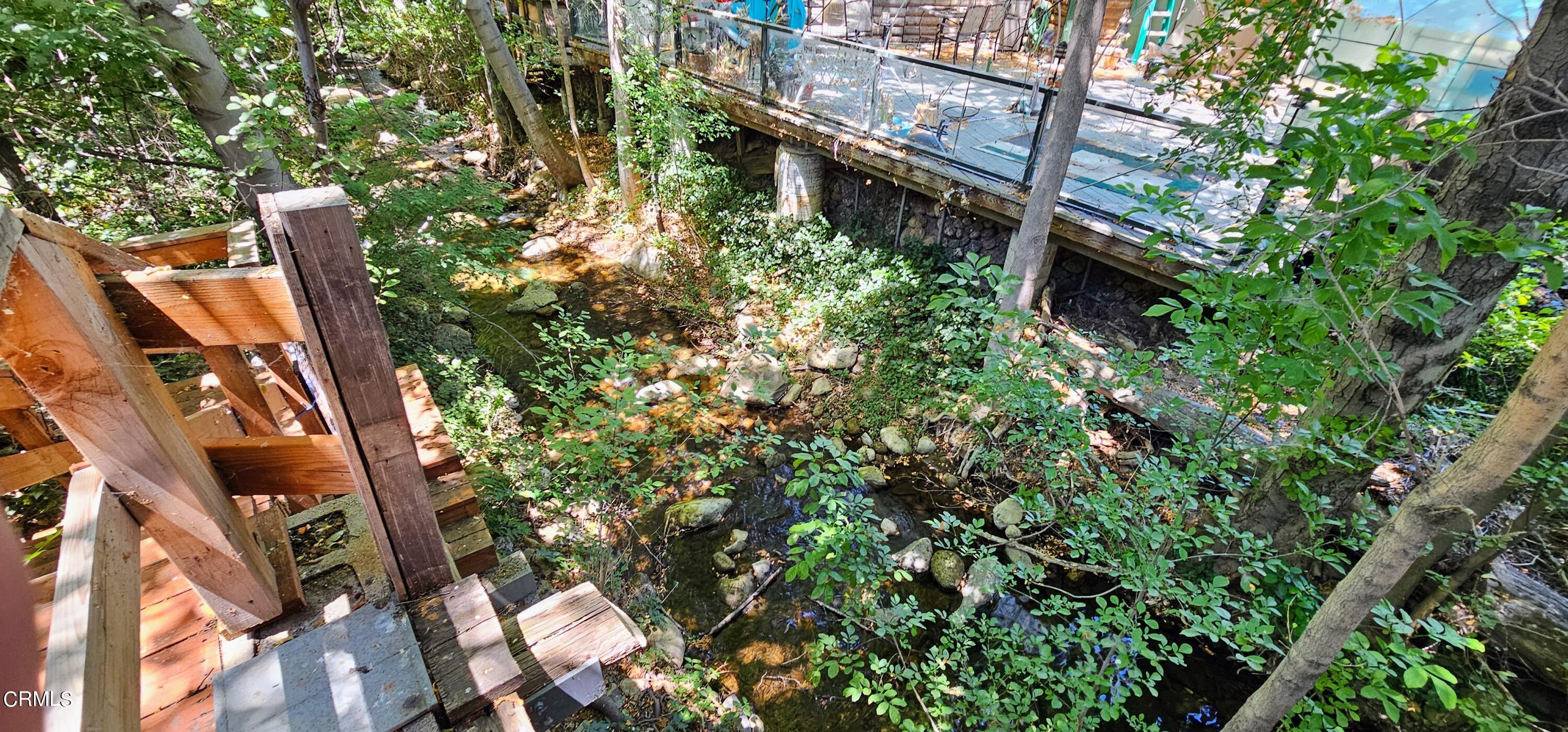 1157 Eugene Maricopa Ca Maricopa, CA 93252 - Photo 20 of 28 a close up of a tree