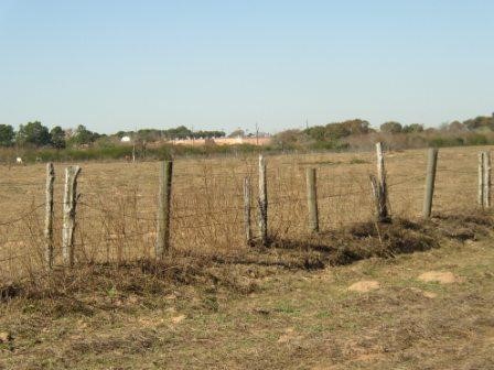 1966 Hluchan Road Sealy, TX 77474 - Photo 11 of 16 a view of lake with mountain
