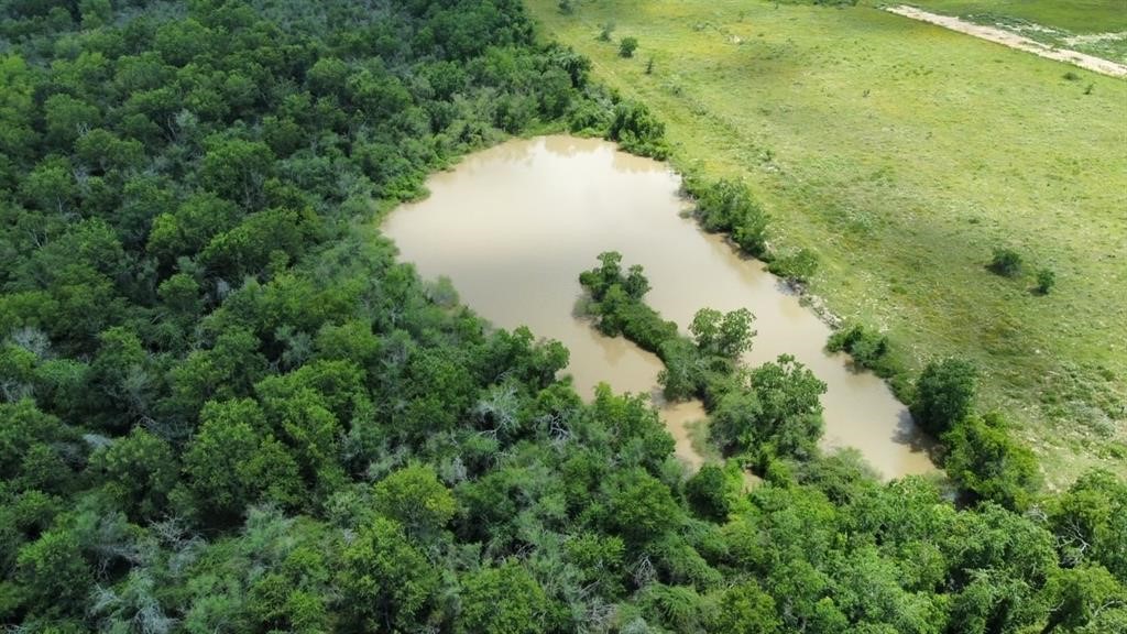 1966 Hluchan Road Sealy, TX 77474 - Photo 3 of 16 a view of a lake and green space
