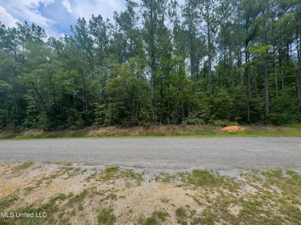 $116,600 | Run-progress Road Perkinston Ms 39573, Perkinston, MS 39573