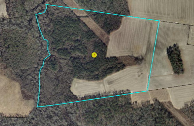 7004 Penwright Road Fremont, NC 27830 - Photo 1 of 1 Primary Photo
