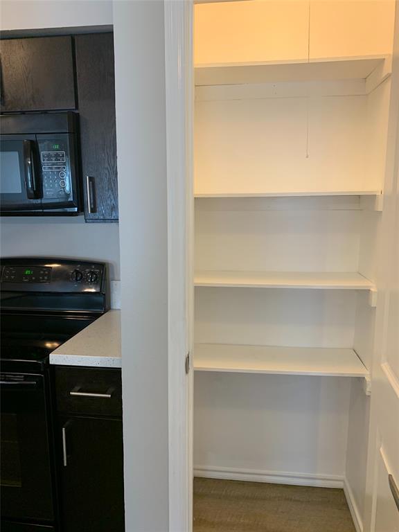 4622 Monarch Street, Unit 106 Dallas, TX 75204 - Photo 7 of 12 View of pantry