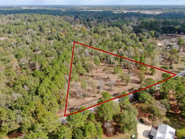 a view of a forest with a forest