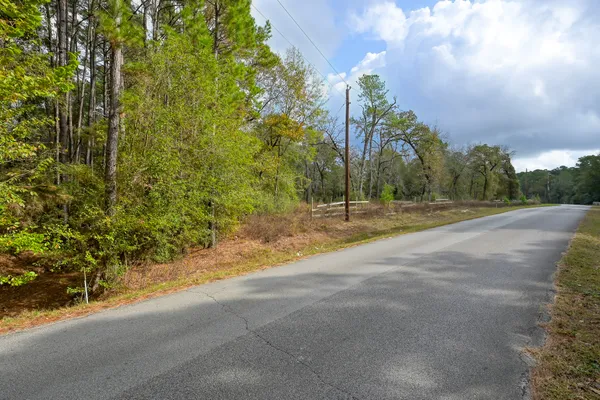 a view of backyard space