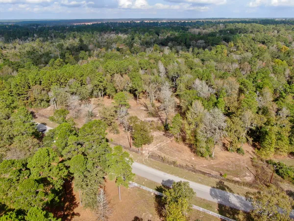 a view of a field with a tree