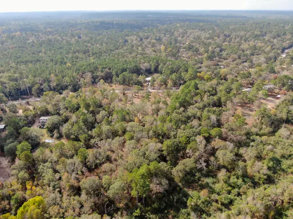 an aerial view of houses with trees