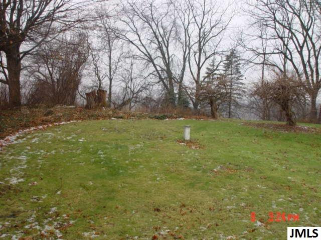 9912 Pulaski Road Hanover, MI 49241 - Photo 10 of 36 Photo 10