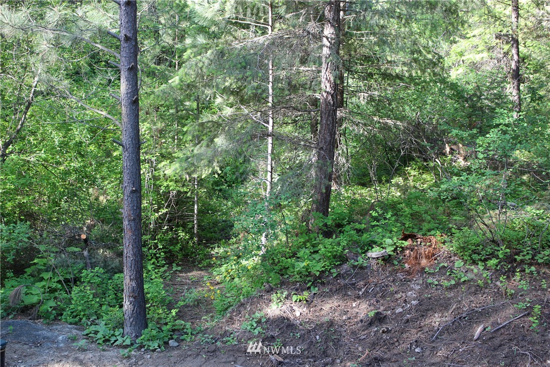 6 Tuckaway Road Twisp, WA 98856 - Photo 21 of 23 Gallery Image 21