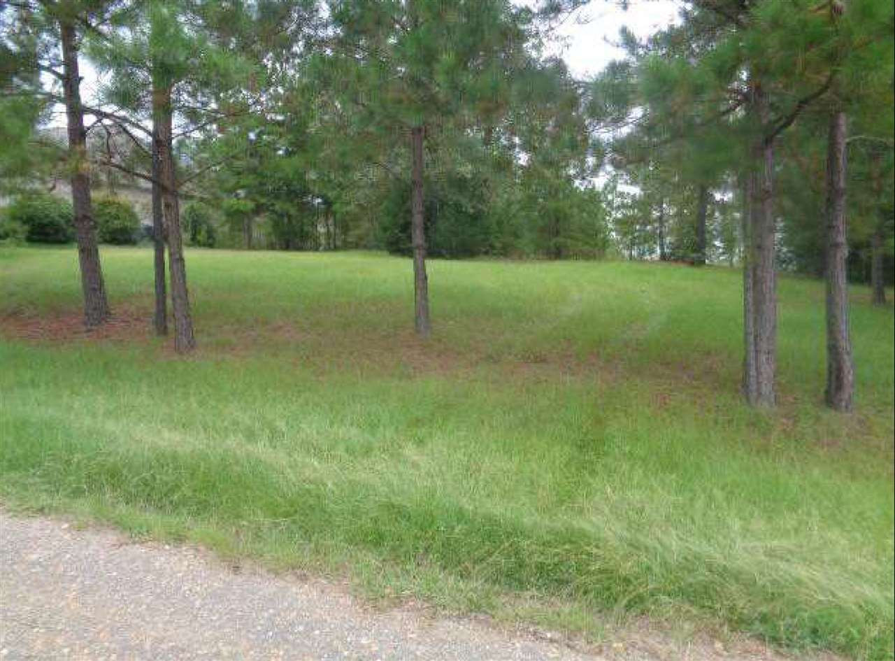 123 Poplar Ridge Drive, Unit 62 Brandon, MS 39047 - Photo 1 of 4 Photo 1