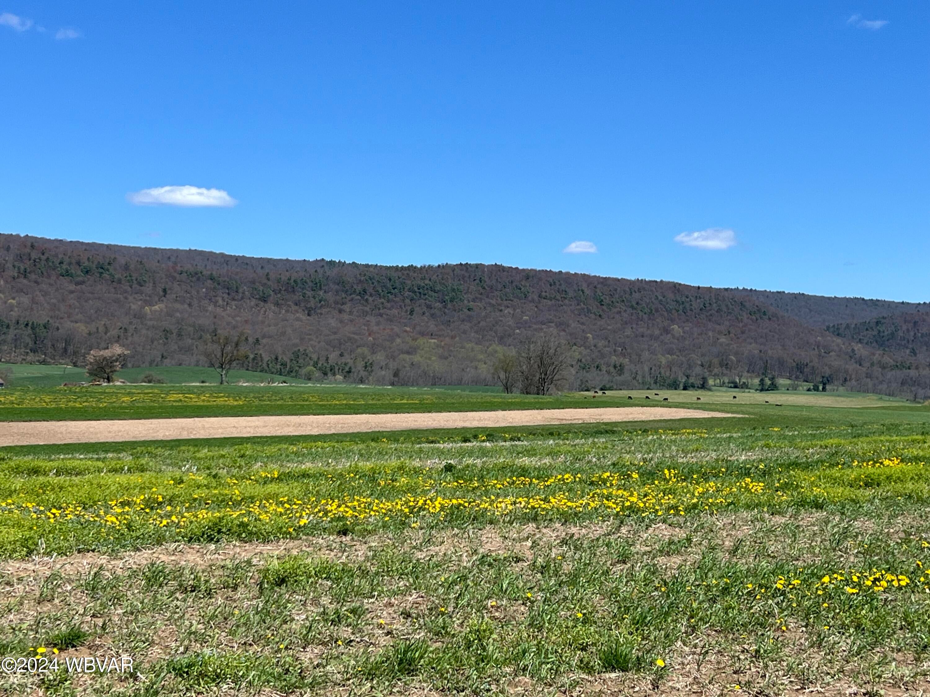 0 Middle Road Aaronsburg, PA 16820 - Photo 2 of 5 Gallery Image 2