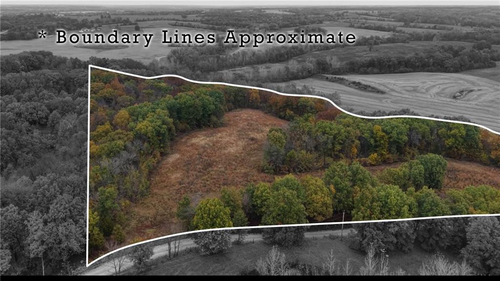 Faulk Road Purdin, MO 64674 - Photo 2 of 13